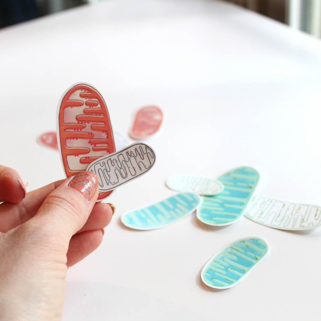 Mitochondria Vinyl Stickers - Sandra Black Culliton