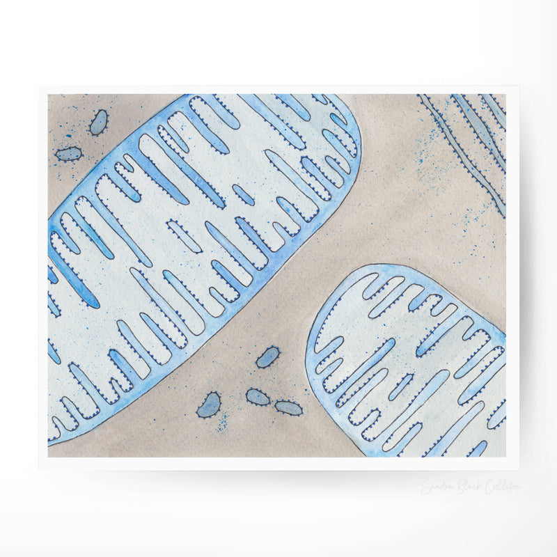 Mitochondria,[product type] - Sandra Black Science Art