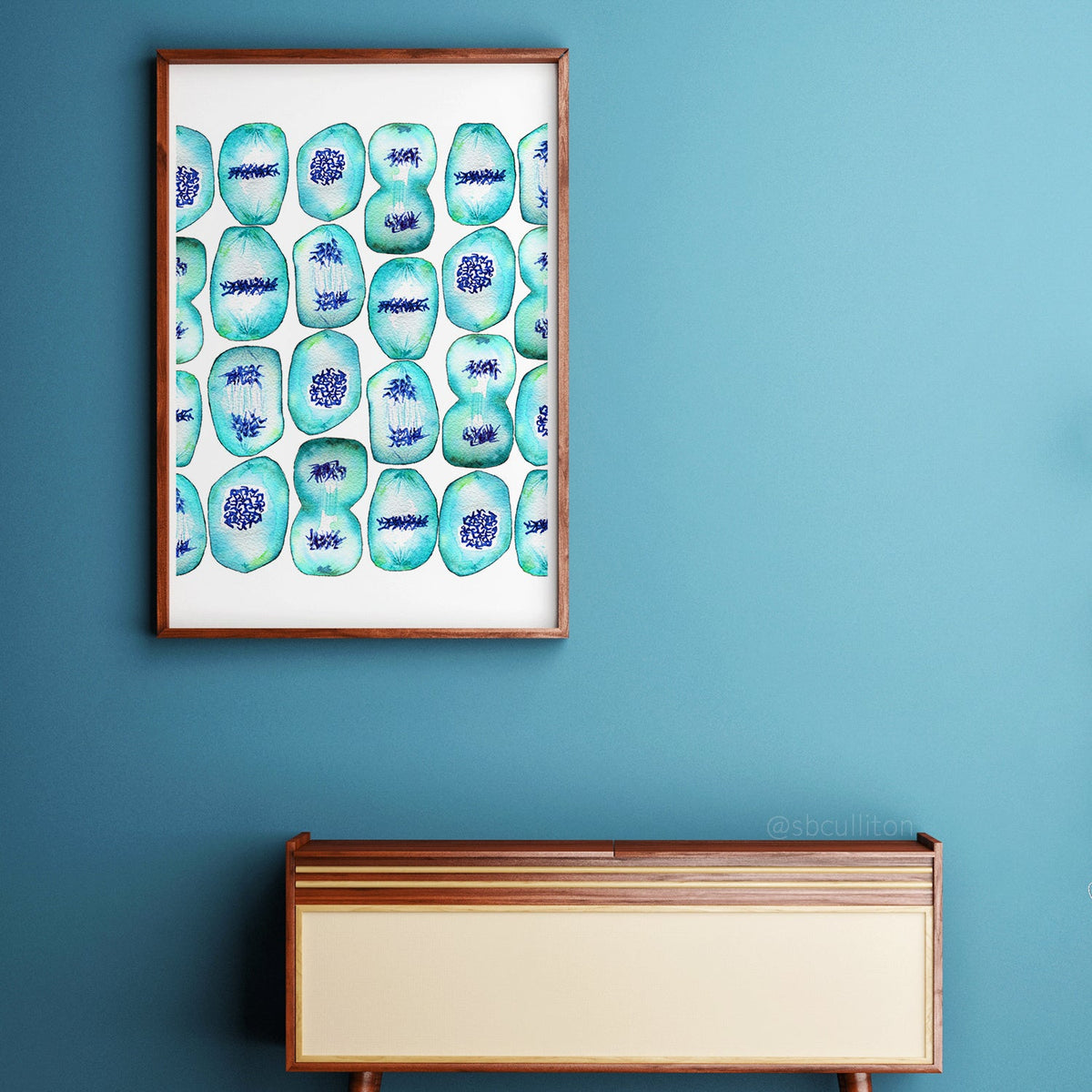 Mitosis watercolor fine art print in wooden frame against blue wall with table.