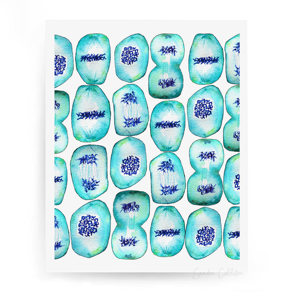 Mitosis watercolor fine art print