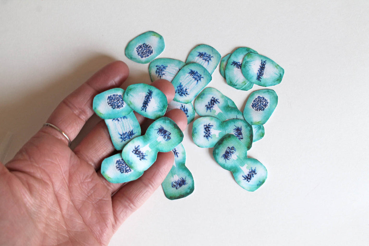 Mitosis Sticker Set - Sandra Black Culliton