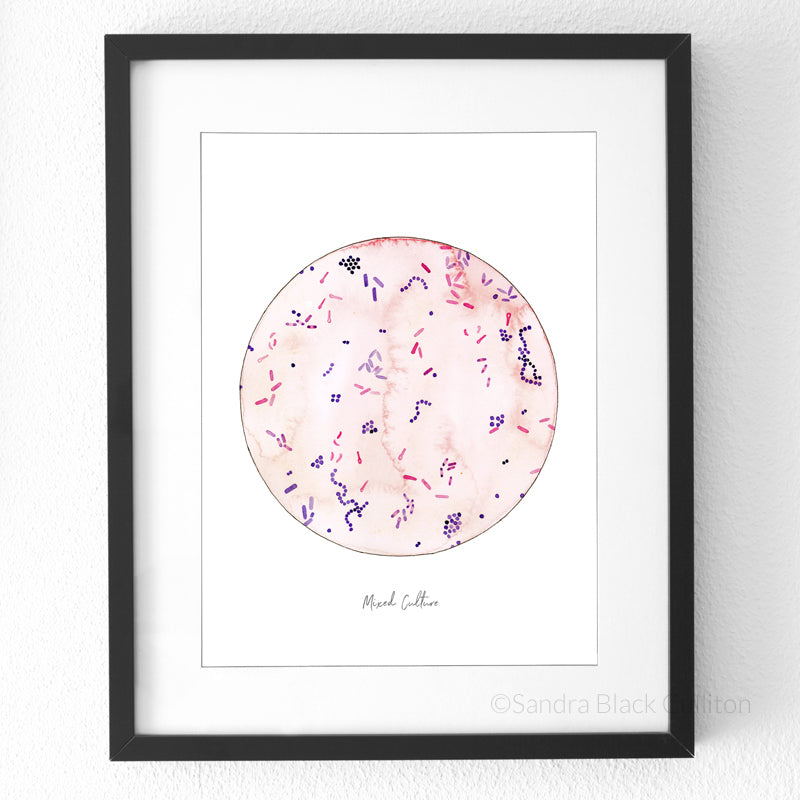 Mixed bacterial culture fine art print