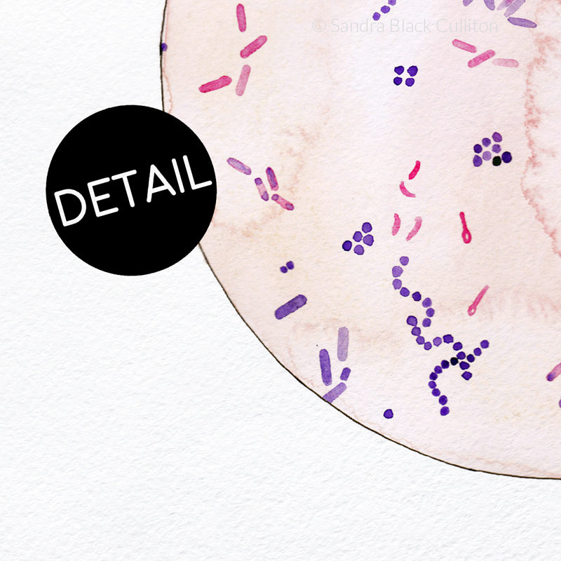 mixed culture watercolor microbiology print detail.