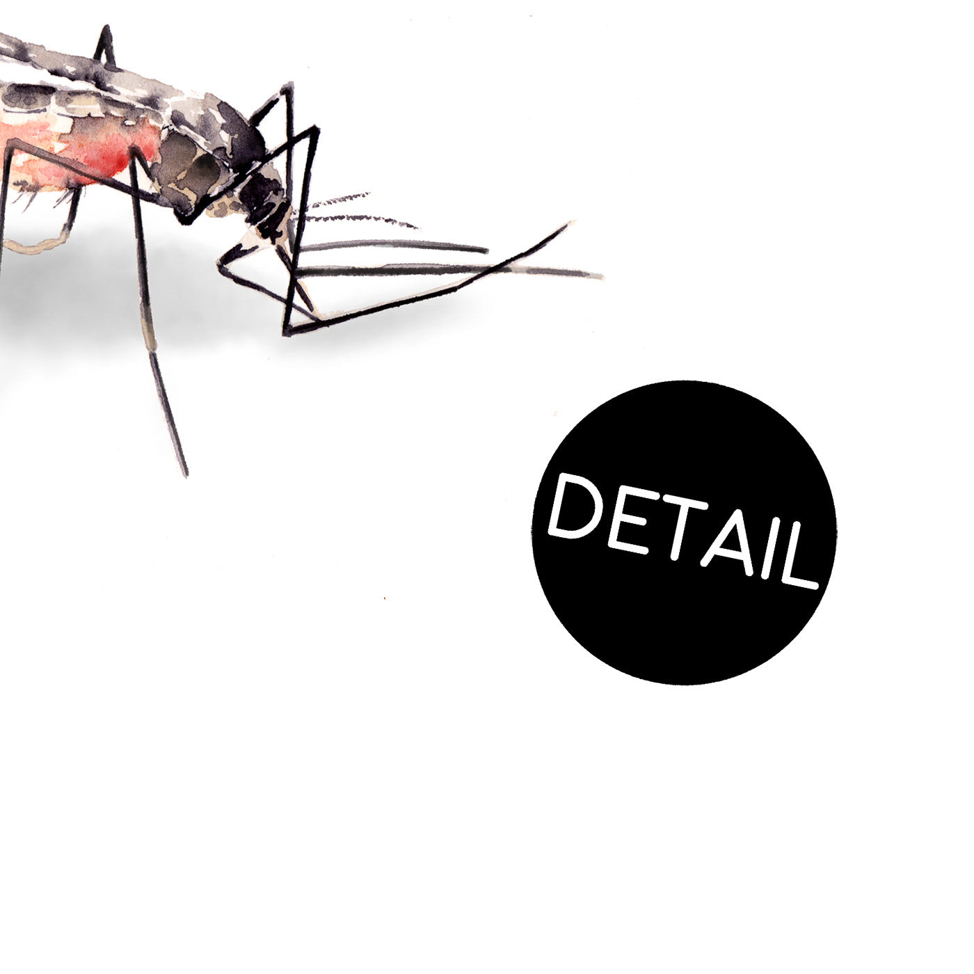 Close up of mosquito art print with paper texture detail.