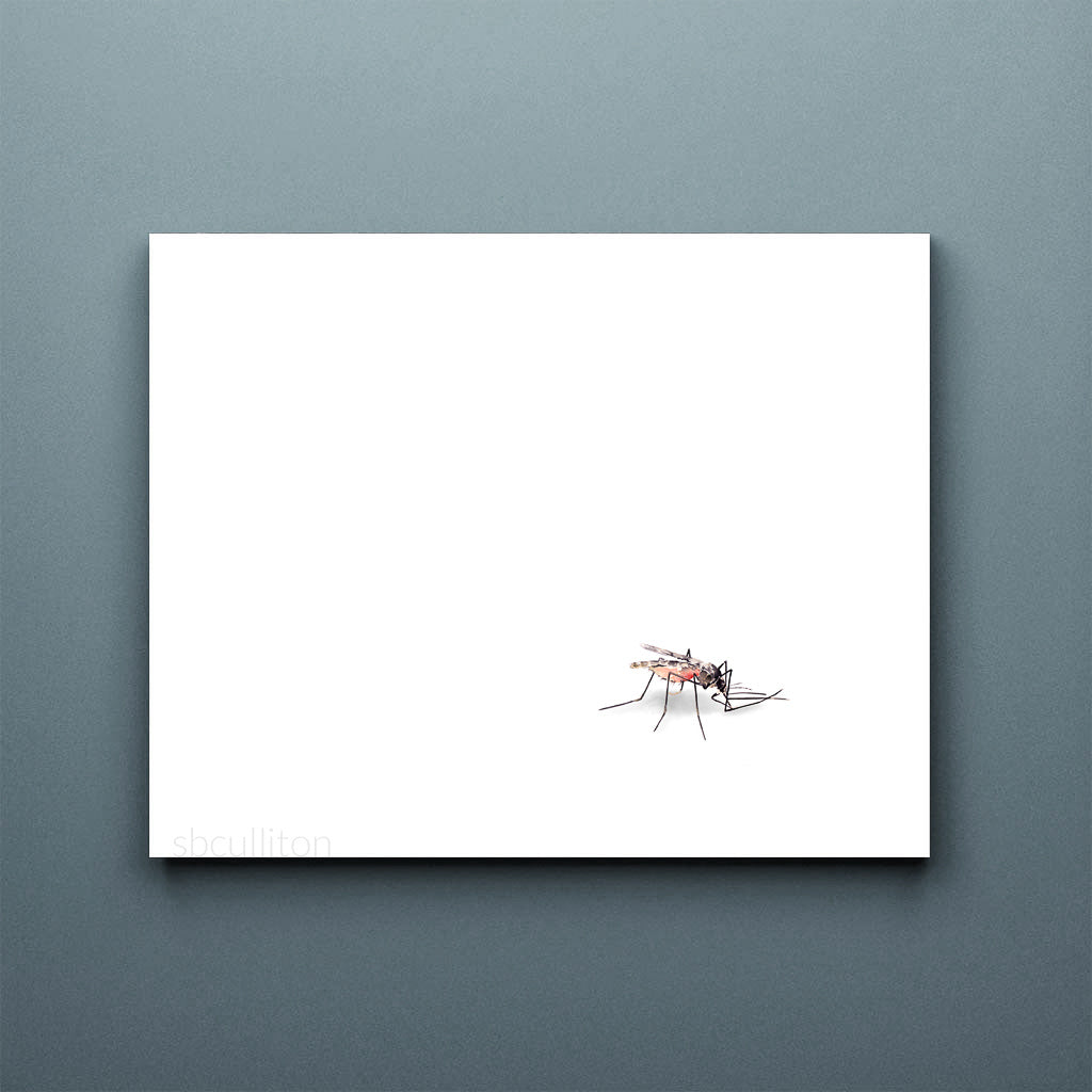Anopheles mosquito in watercolor fine art print