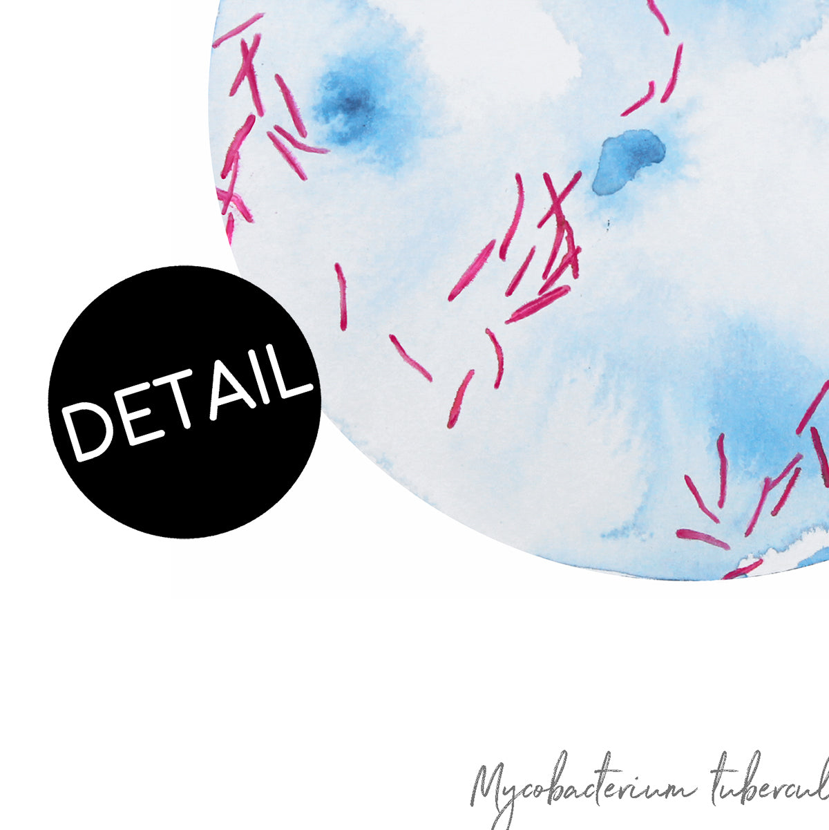 Mycobacterium tuberculosis art print detail with paper texture shown.
