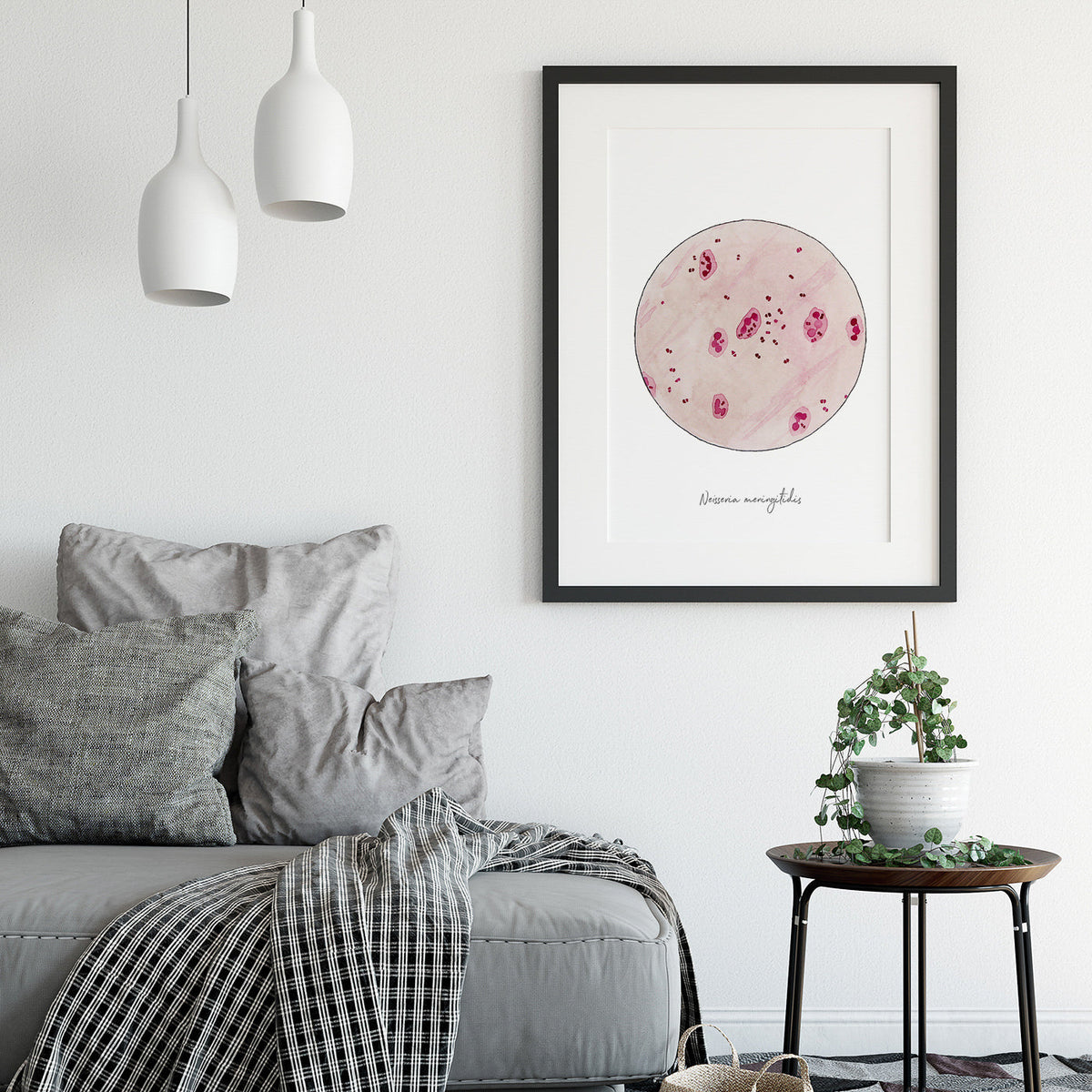 Neisseria meningitidis watercolor art print