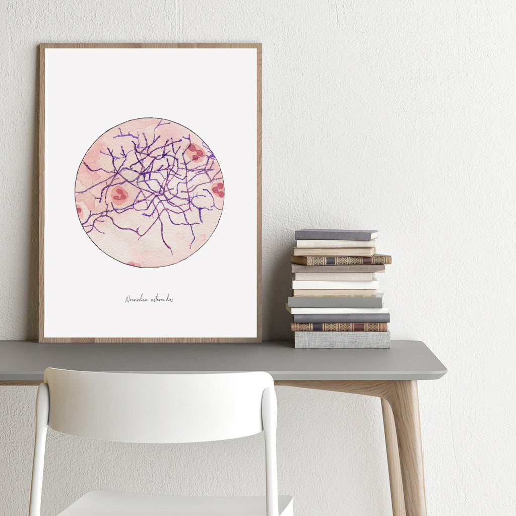 Nocardia asteroides watercolor print
