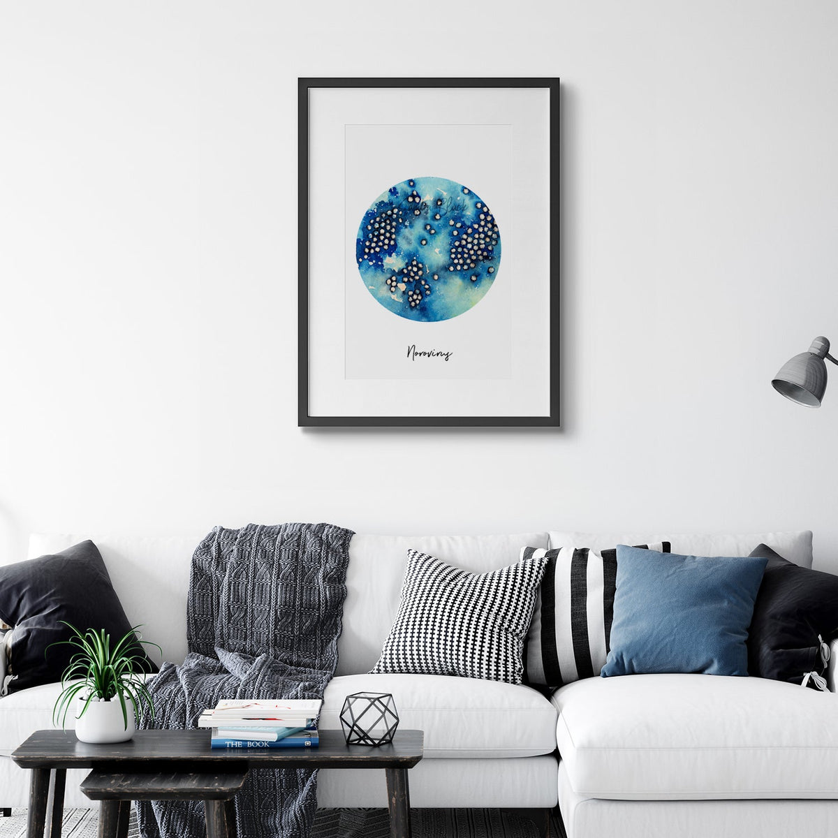 Norovirus in black frame in living area