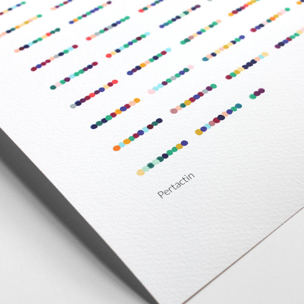 Pertactin,[product type] - Sandra Black Science Art