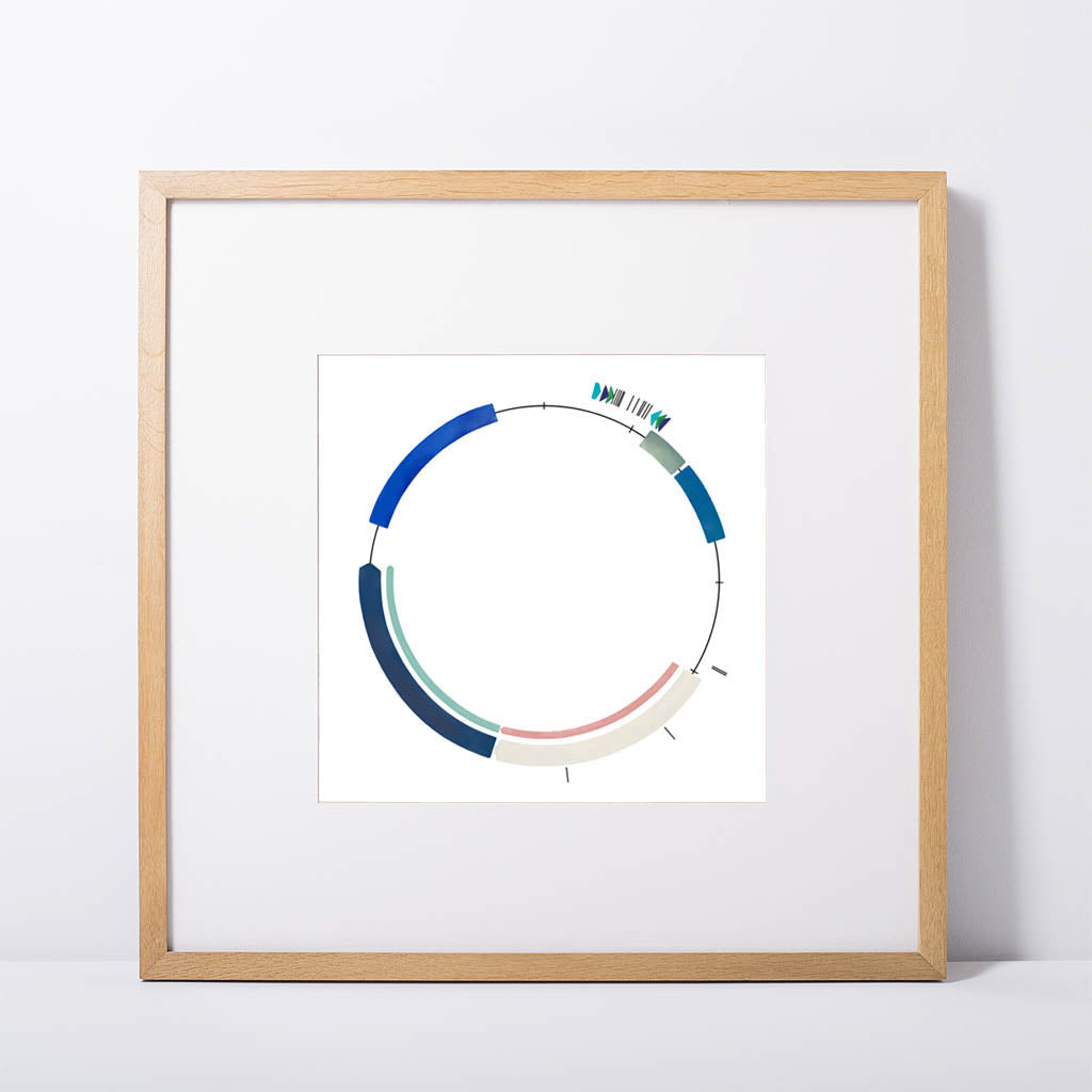 Plasmid 49,[product type] - Sandra Black Science Art