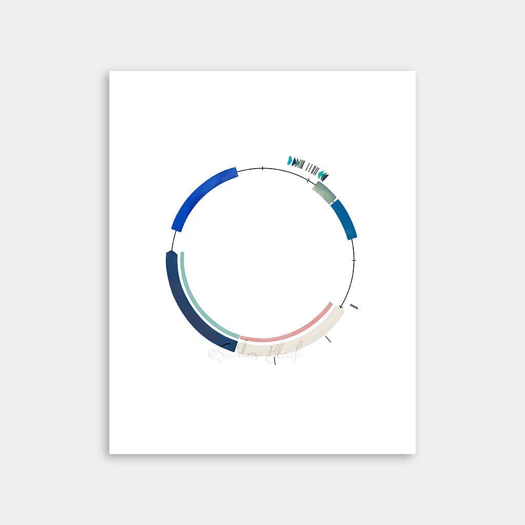 Plasmid 49,[product type] - Sandra Black Science Art