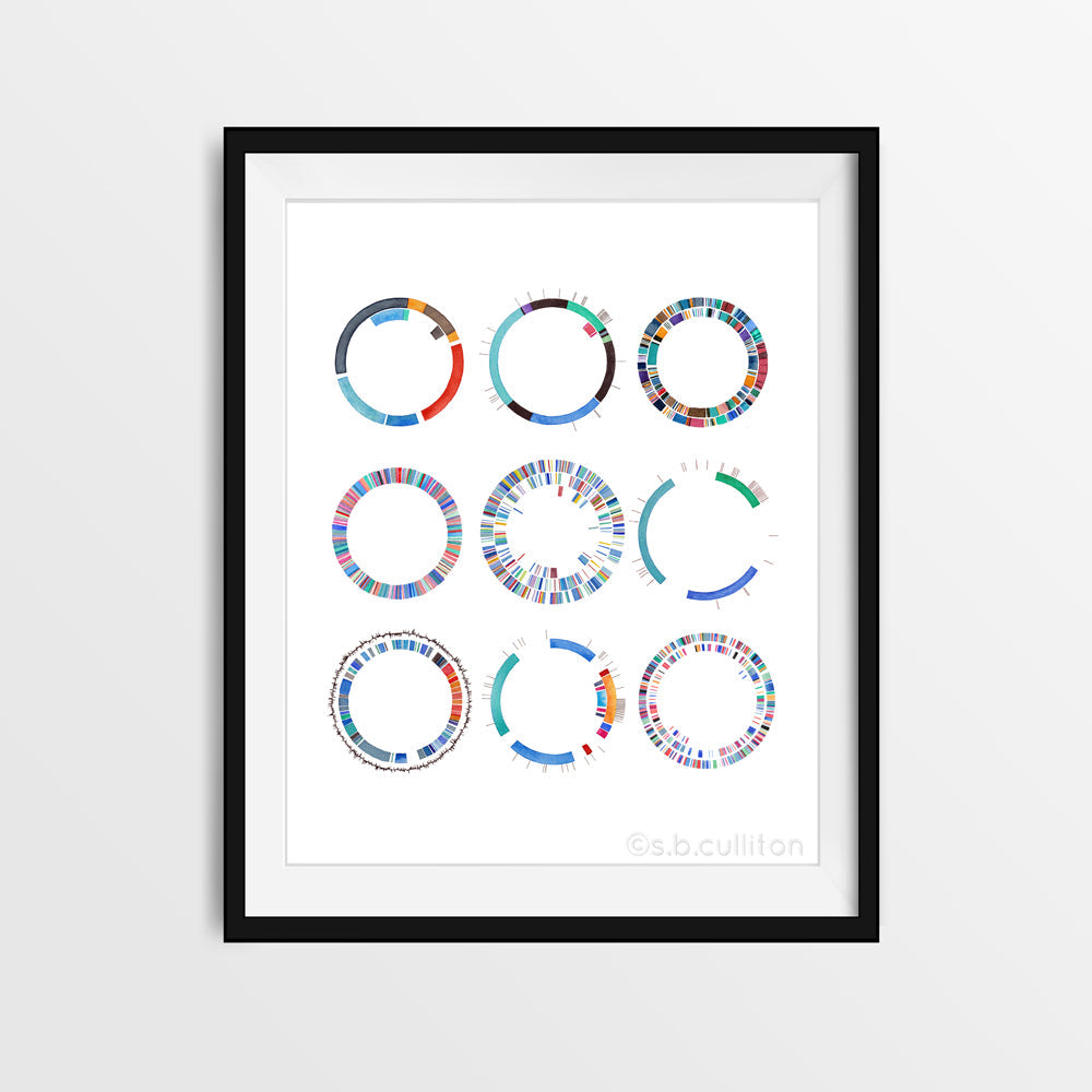 Plasmid Collection,[product type] - Sandra Black Science Art