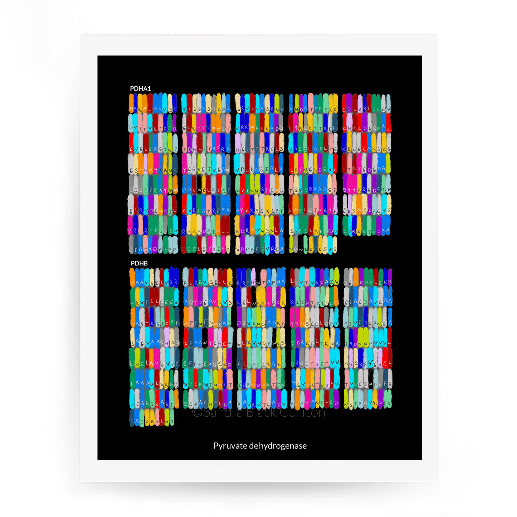 Pyruvate dehydrogenase protein amino acid sequence fine art print.