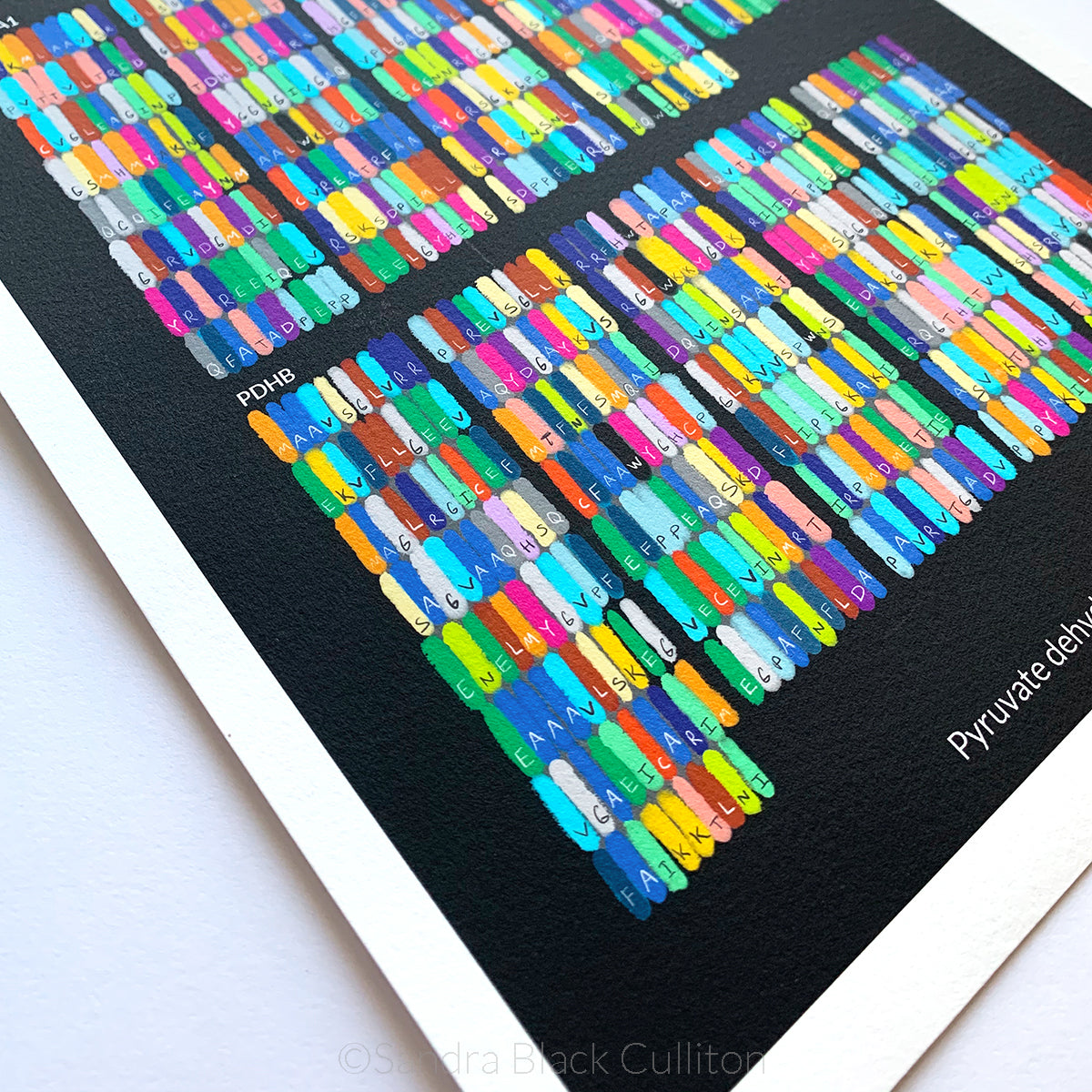 Pyruvate dehydrogenase fine art print up close detail.