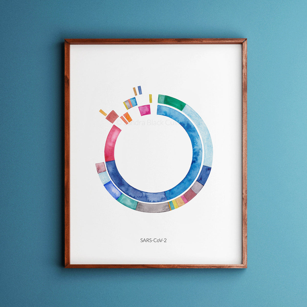 SARS-CoV-2 Genome No. 1 Fine art print framed in wooden frame against blue background.