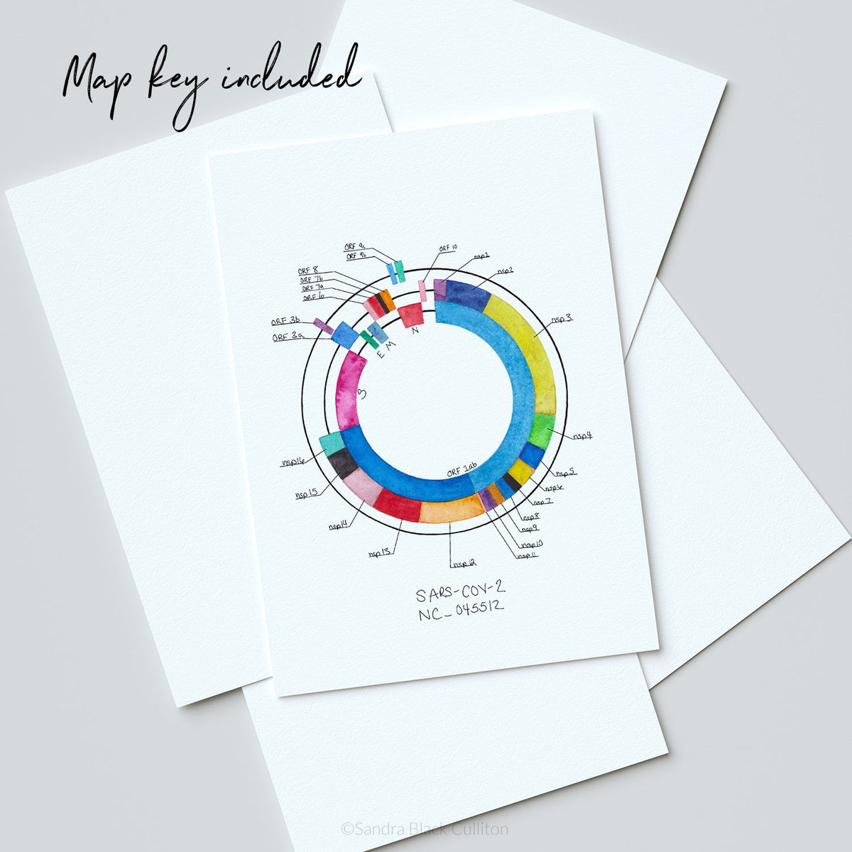 SARS-CoV-2 Genome Print Key Map
