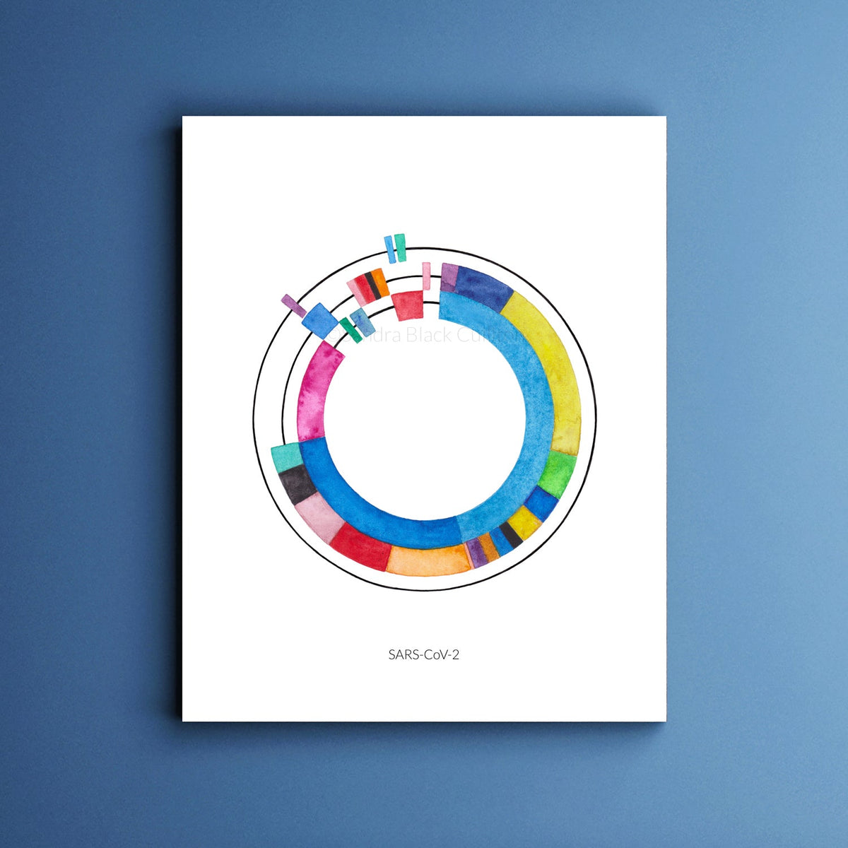 SARS-CoV-2 Genome Print
