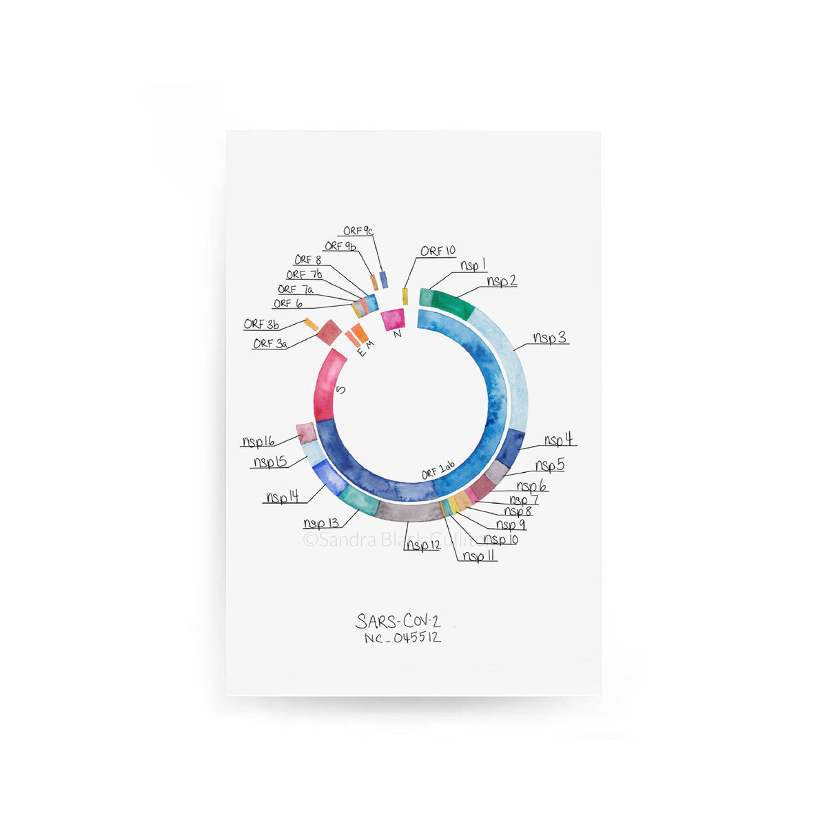 SARS-CoV-2 MAP KEY ONLY,[product type] - Sandra Black Science Art