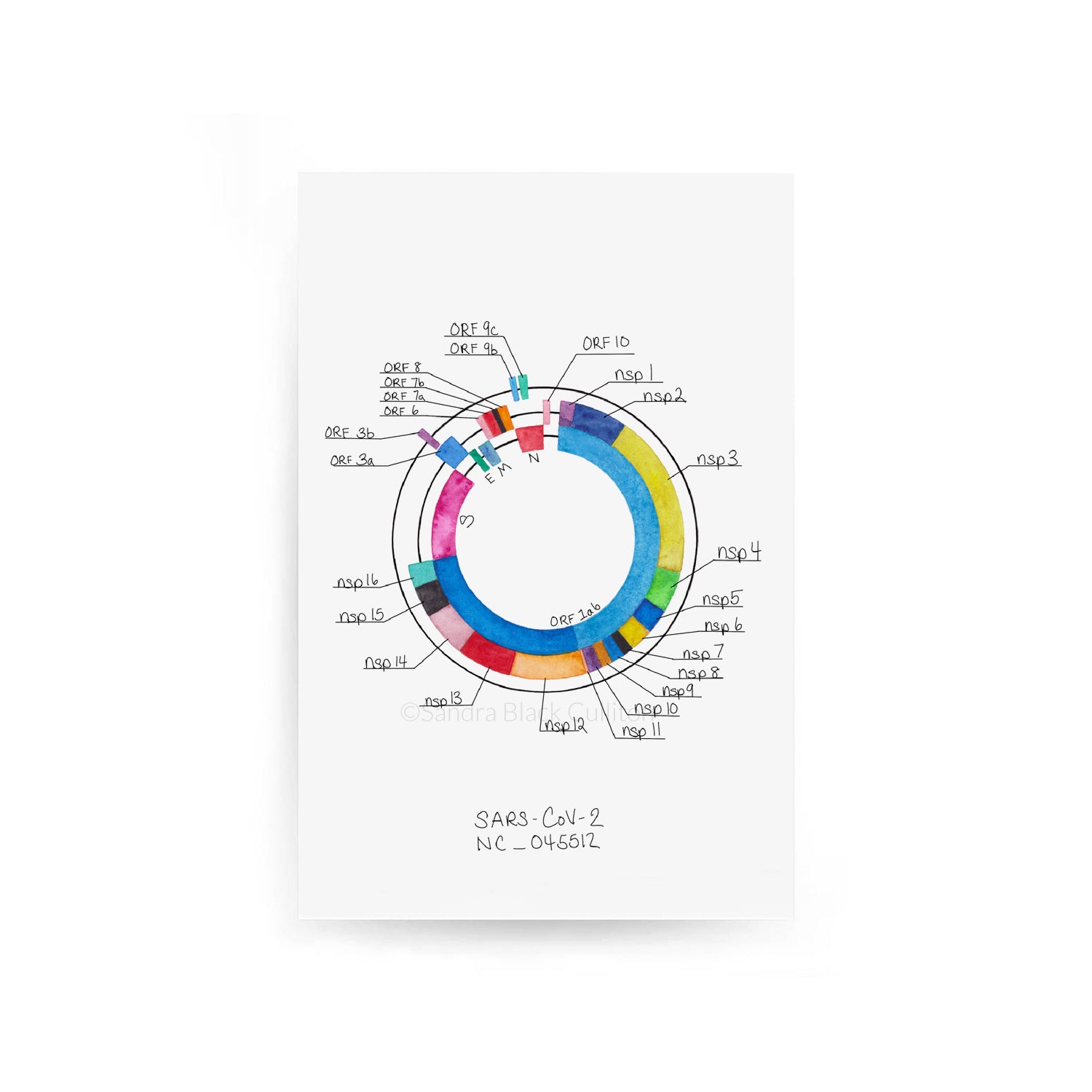 SARS-CoV-2 MAP KEY ONLY,[product type] - Sandra Black Science Art