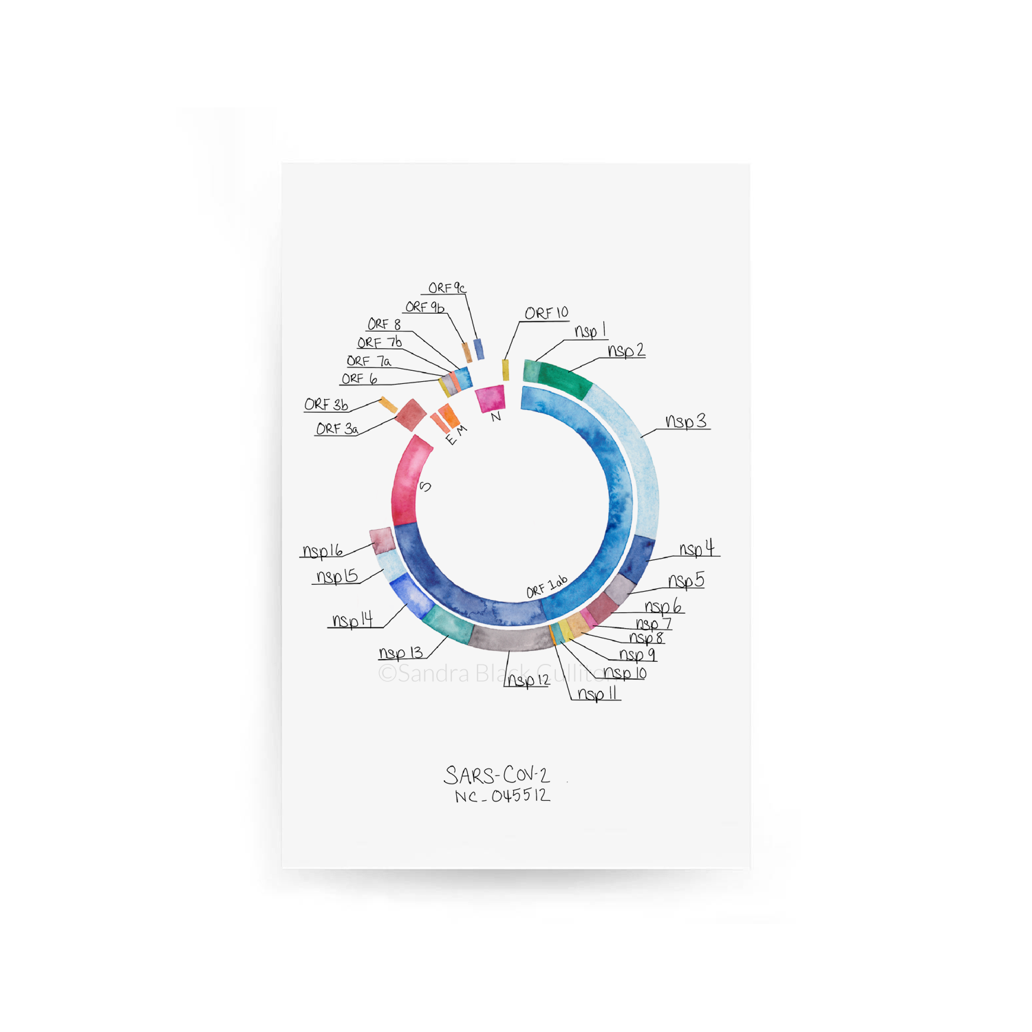 SARS-CoV-2 Genome No. 1 Fine art print framed in wooden frame against blue background.