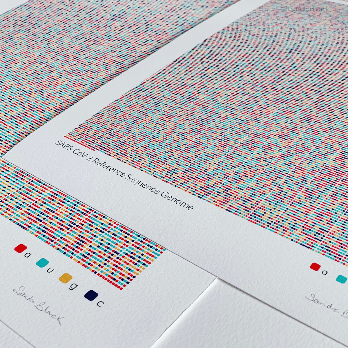 sarscov2 rna sequence as a print