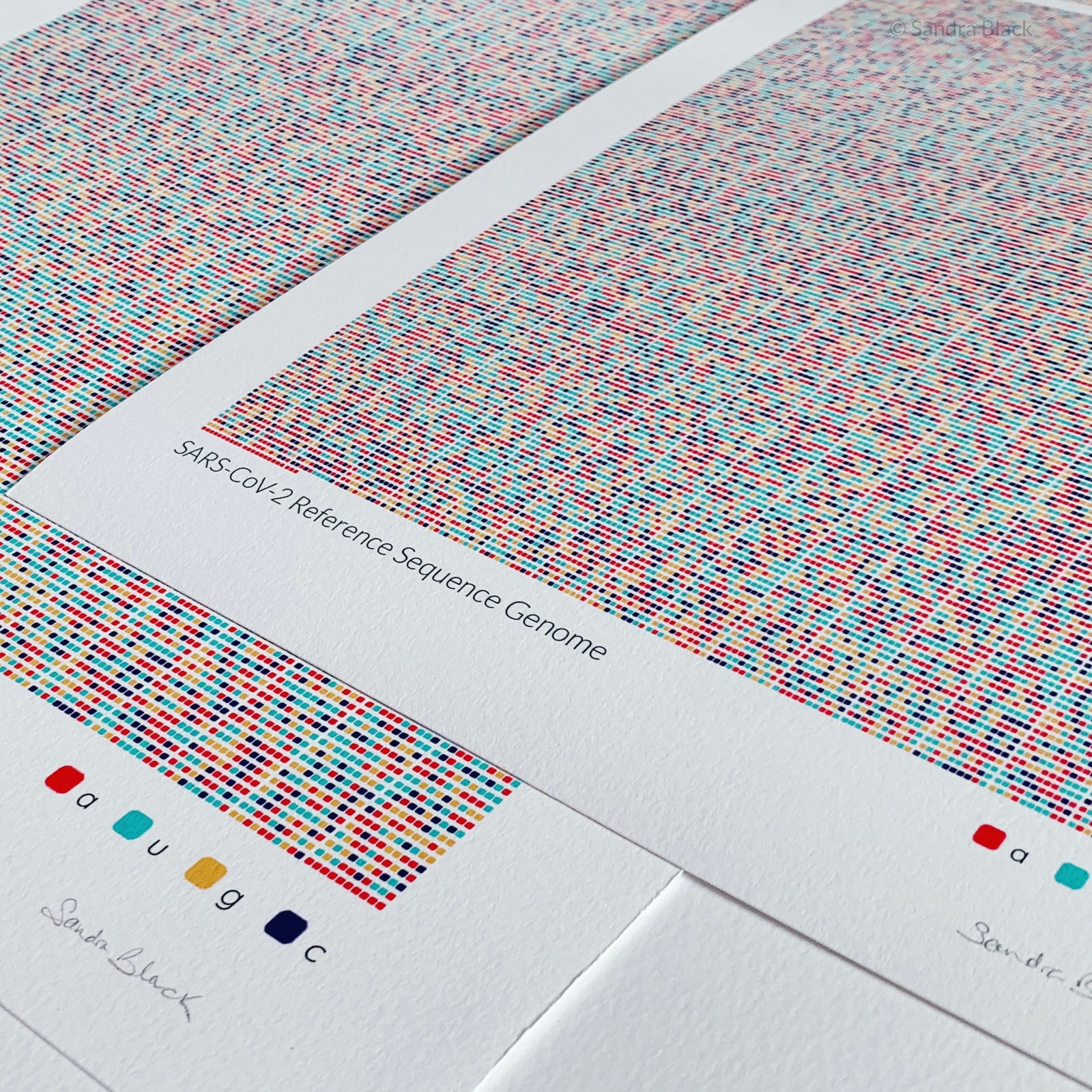 sarscov2 rna sequence as a print