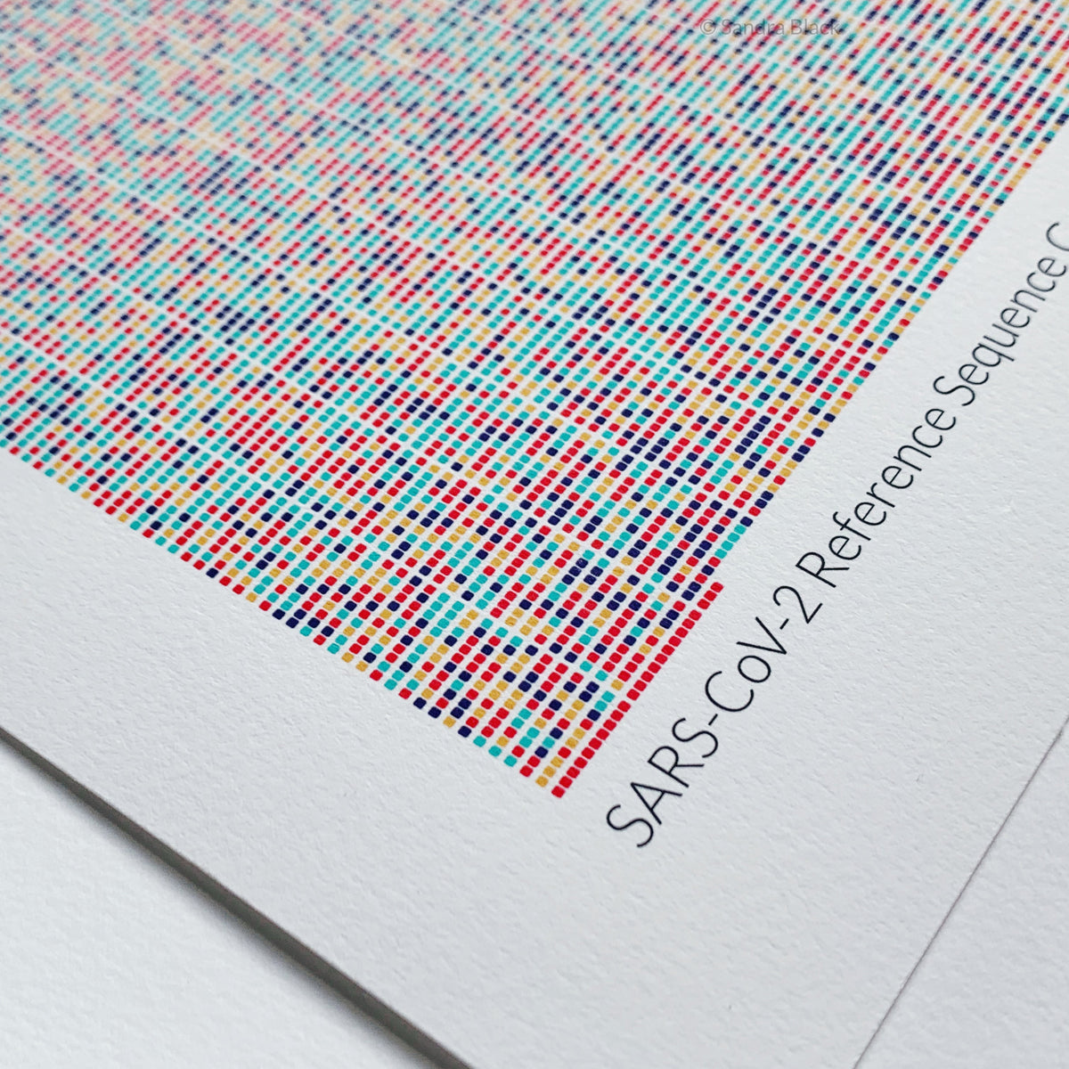 sarscov2 rna genome detail