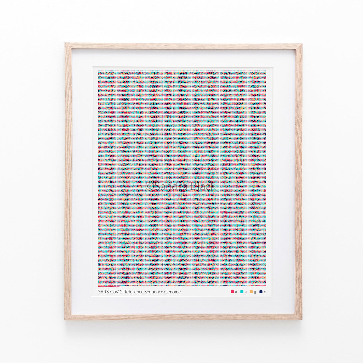 sarscov2 reference sequence print