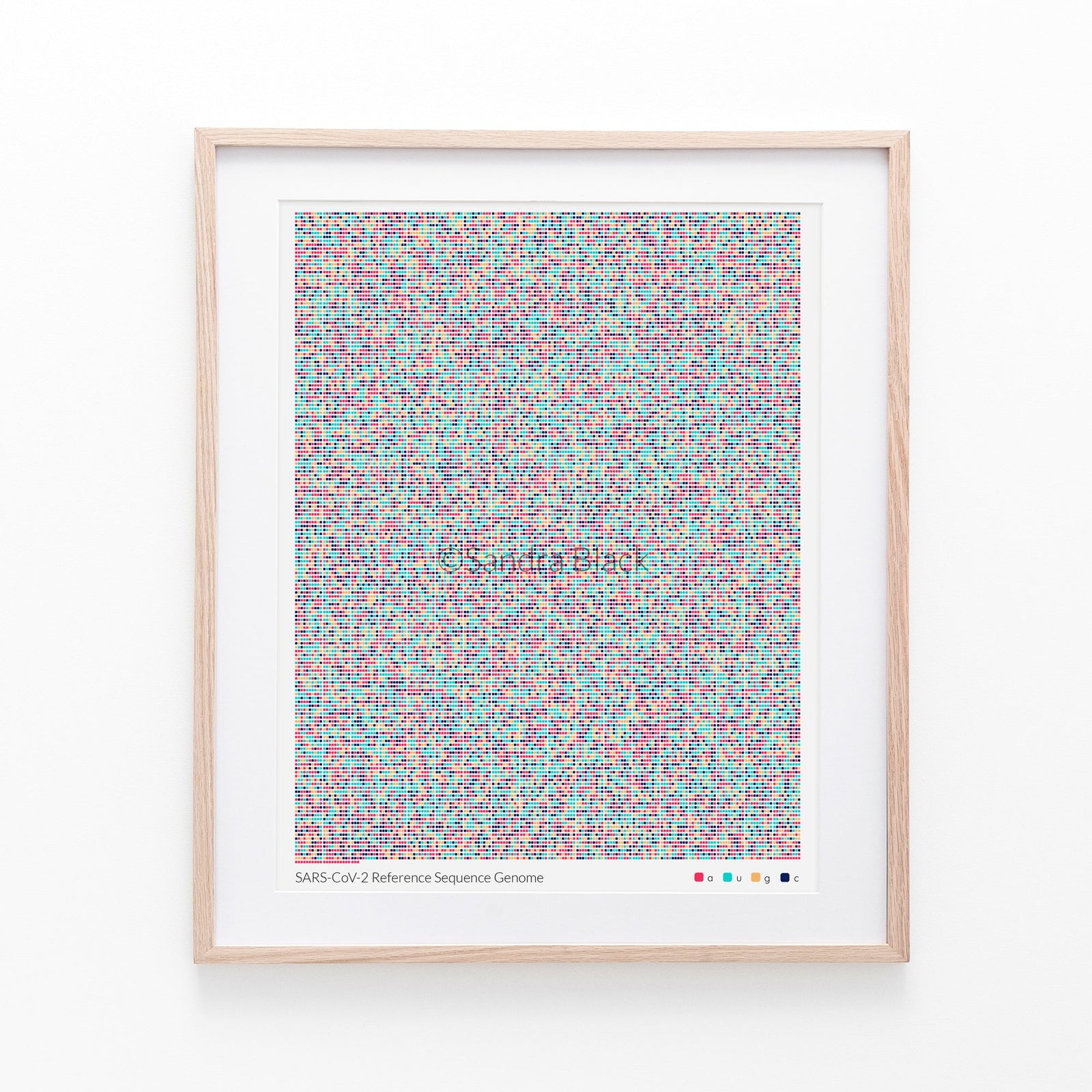 Sarscov2 reference sequence print