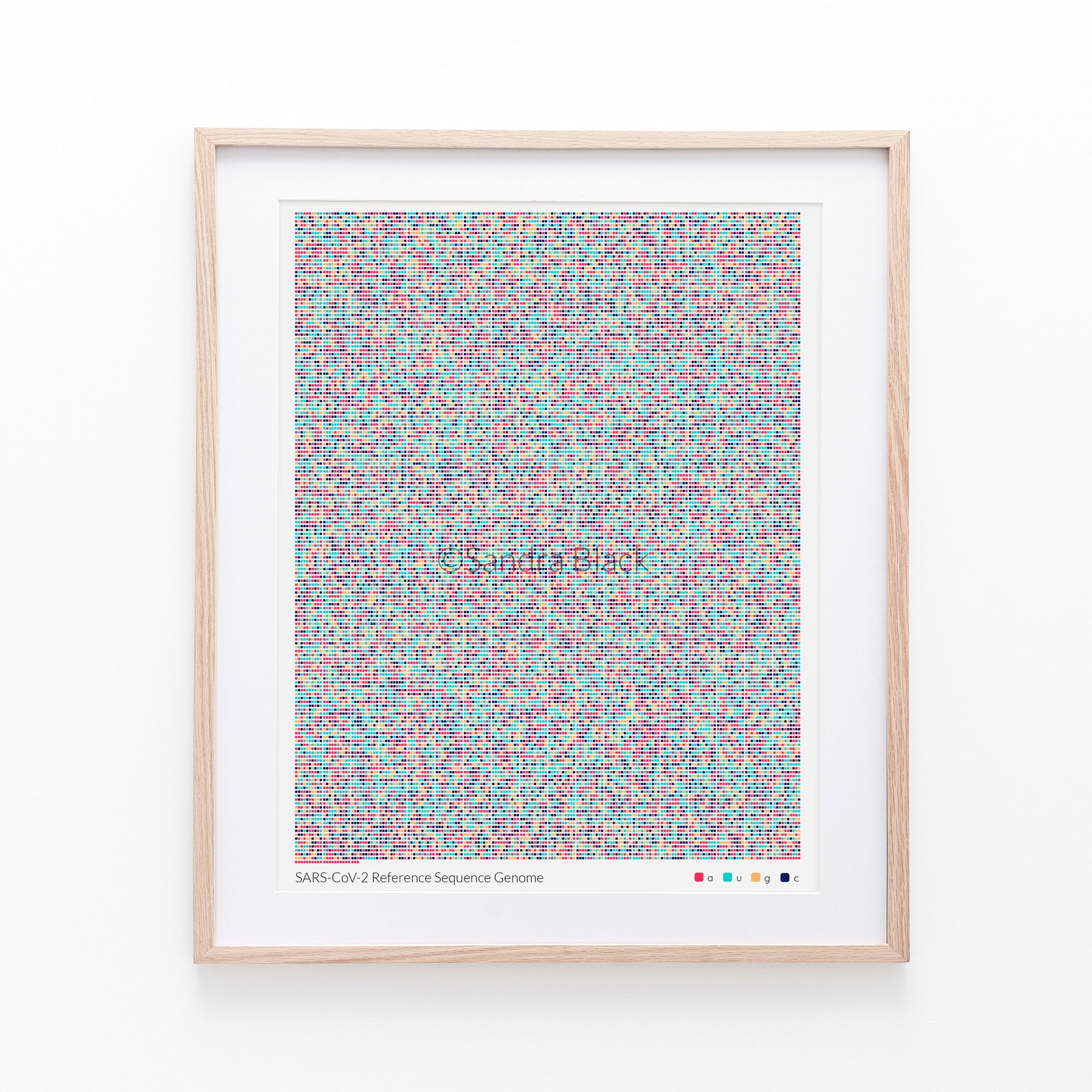 Sarscov2 reference sequence print