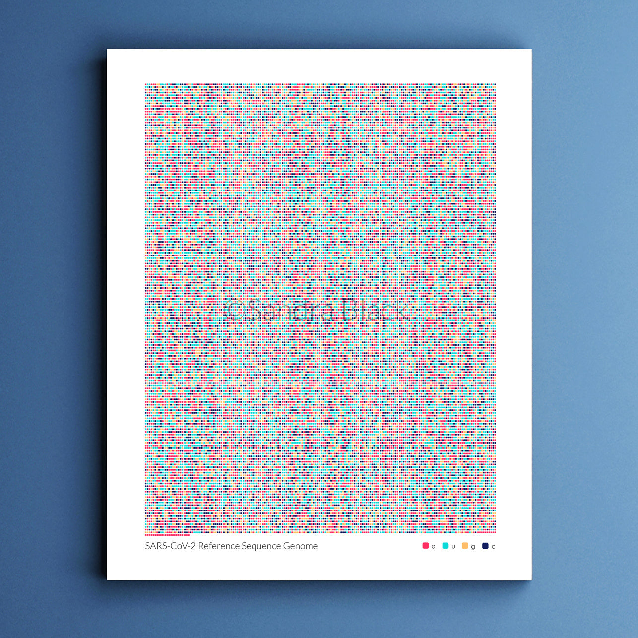 Sarscov2 reference sequence print