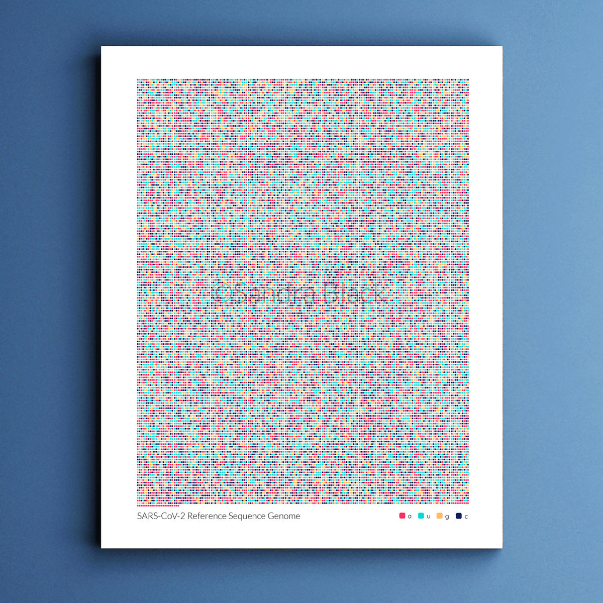 Sarscov2 reference sequence print