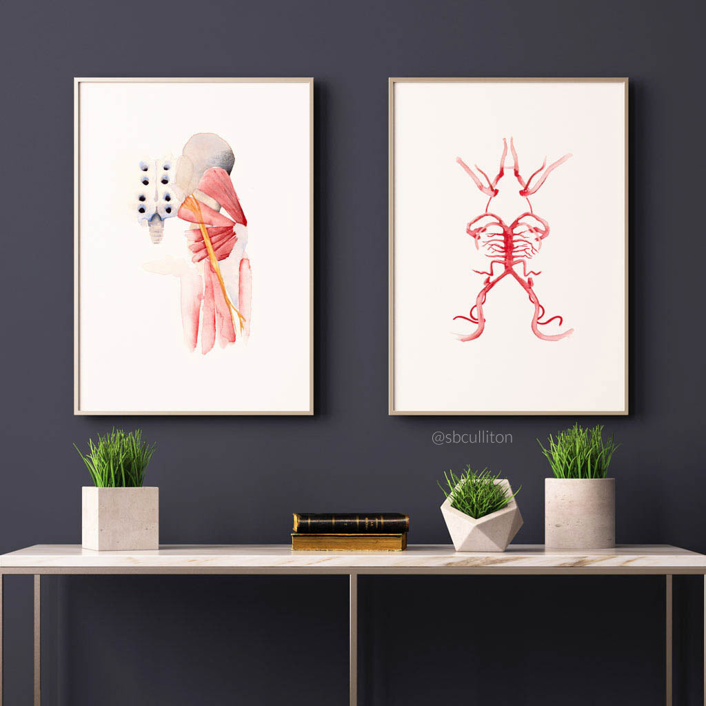 Sciatic Nerve,[product type] - Sandra Black Science Art