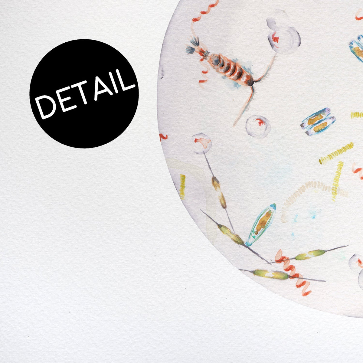 Seawater print in detail