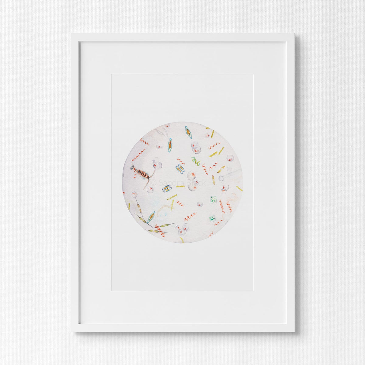 Seawater print in a white frame