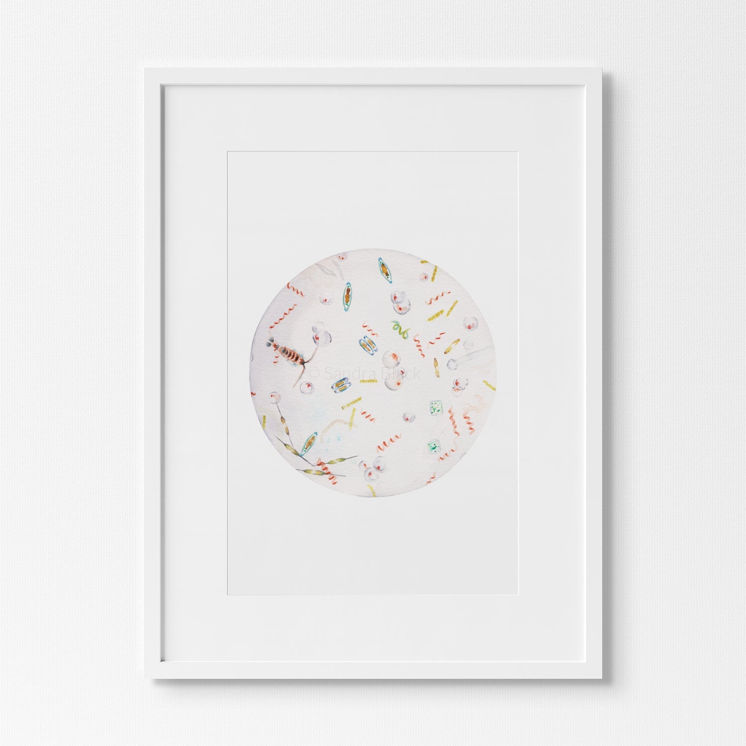 Seawater print in a white frame