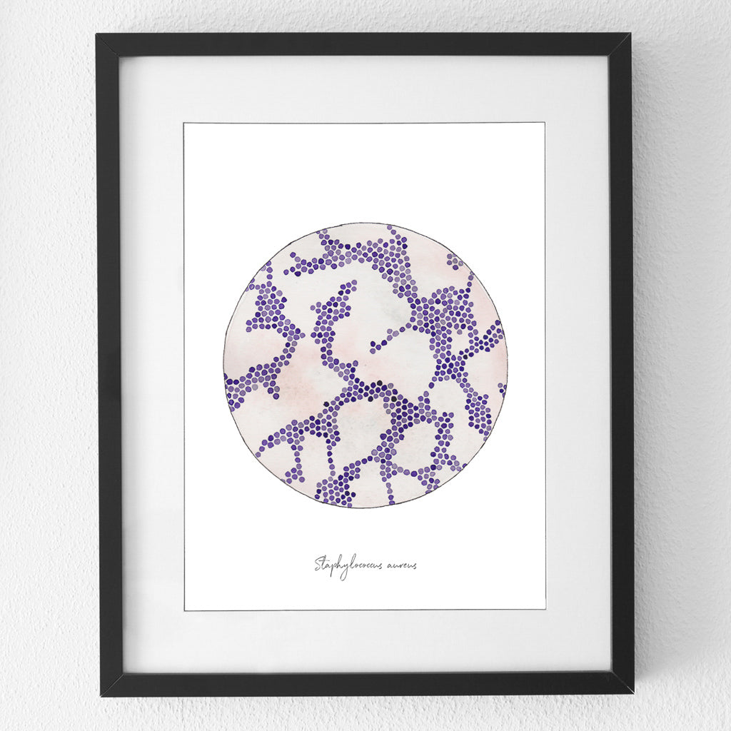 Staphylococcus aureus art print