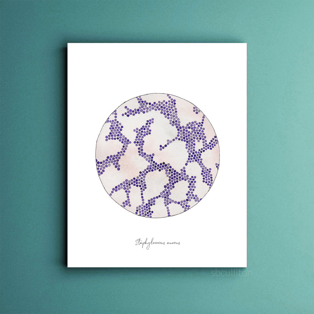 Staphylococcus aureus art print