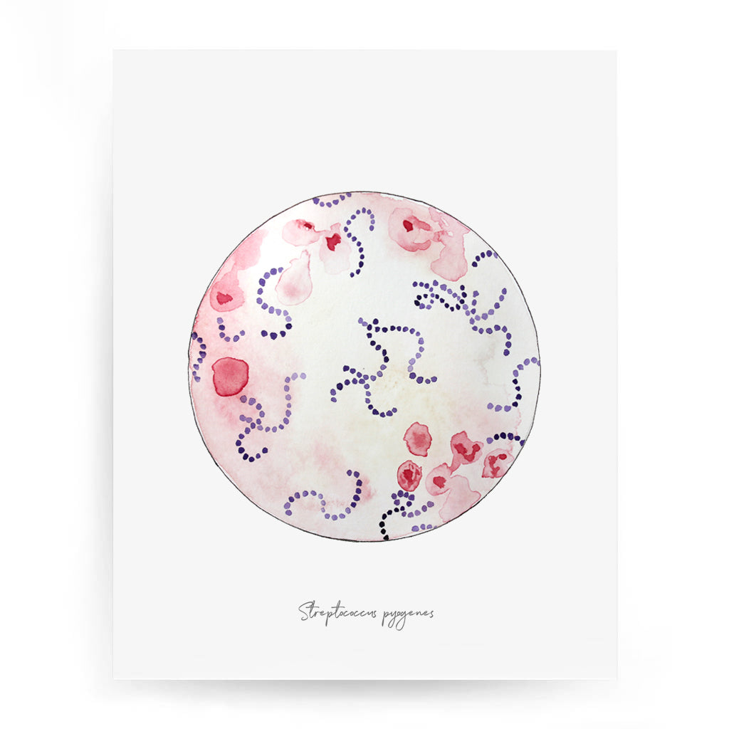 Streptococcus pyogenes watercolor art print