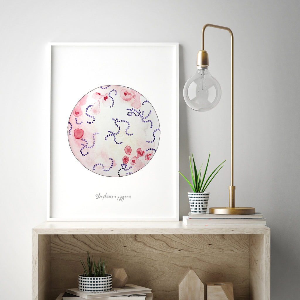 Streptococcus pyogenes watercolor art print