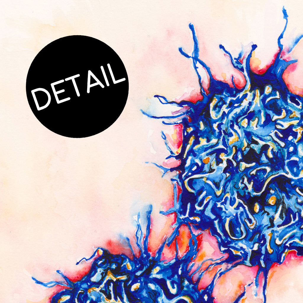 T Cells,[product type] - Sandra Black Science Art