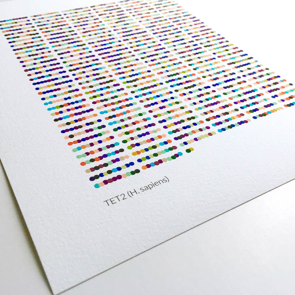 TET2,[product type] - Sandra Black Science Art