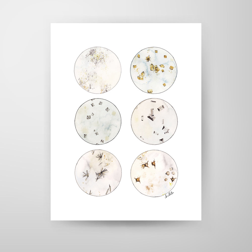 Urine Crystals,[product type] - Sandra Black Science Art
