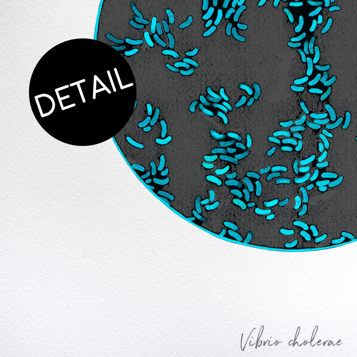 up close detail of vibrio art print. 