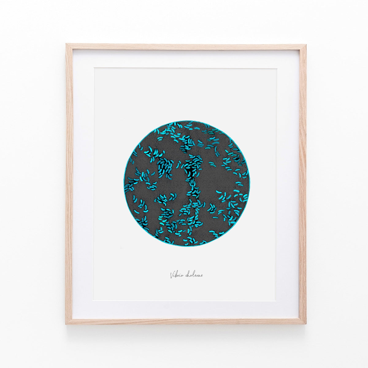 vibrio print in natural wooden frame against white background.
