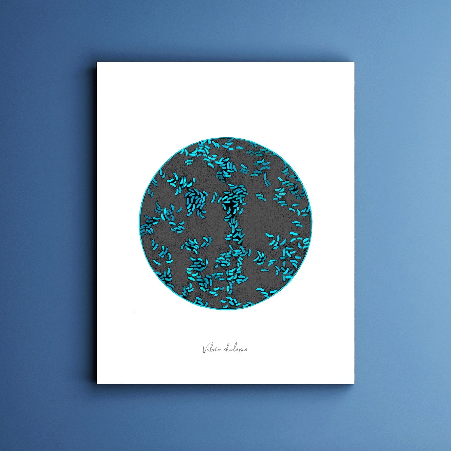 Vibrio cholera watercolor fine art print against blue background.