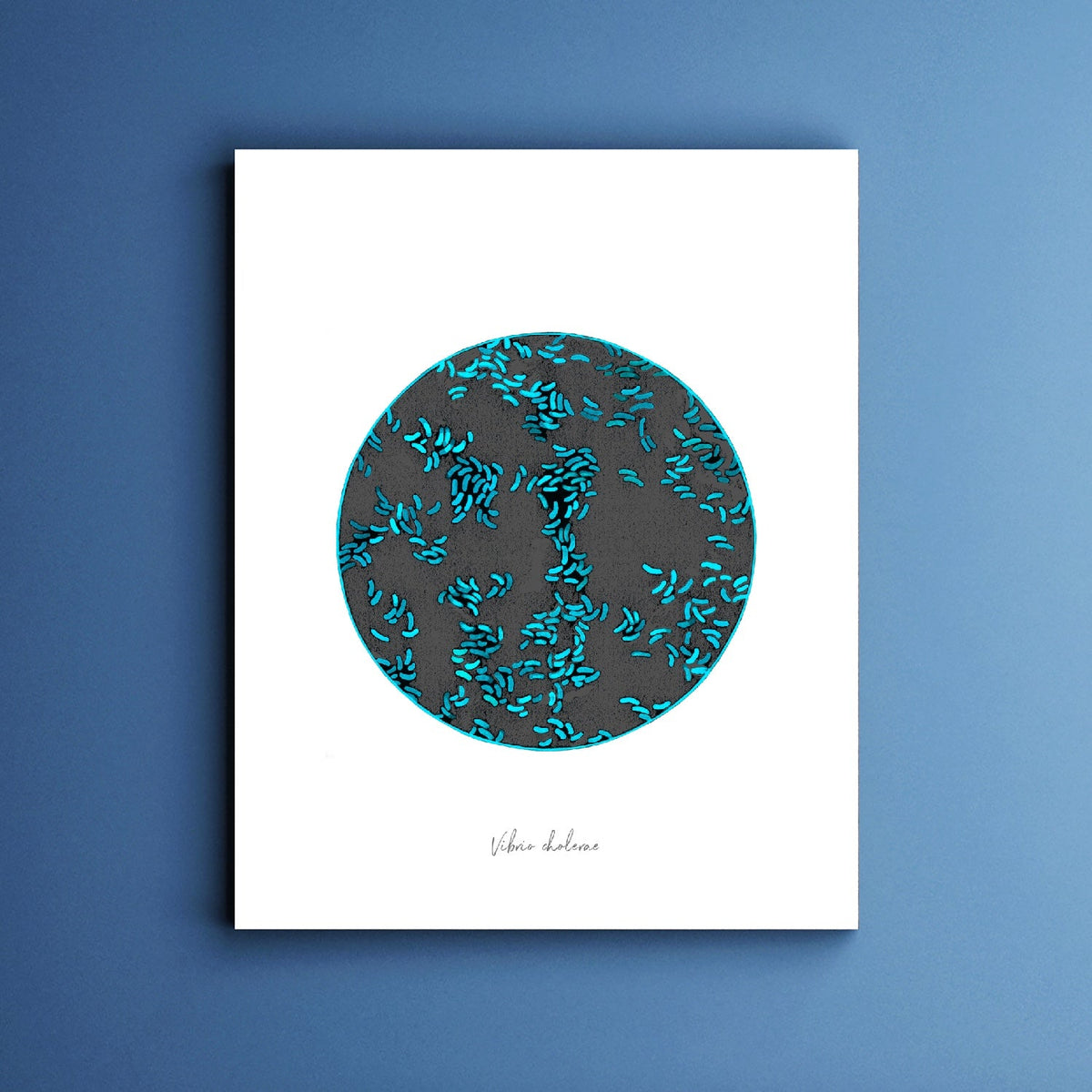 Vibrio cholera watercolor fine art print against blue background.