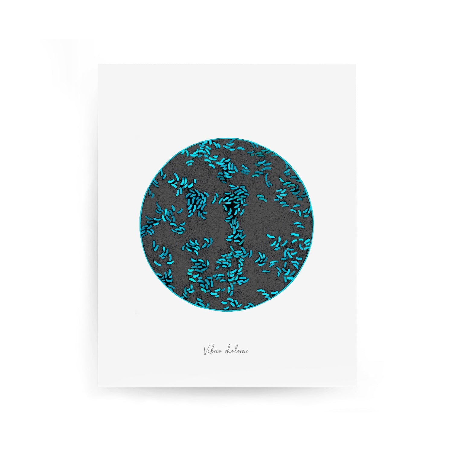 Vibrio cholera watercolor fine art print against blue background.