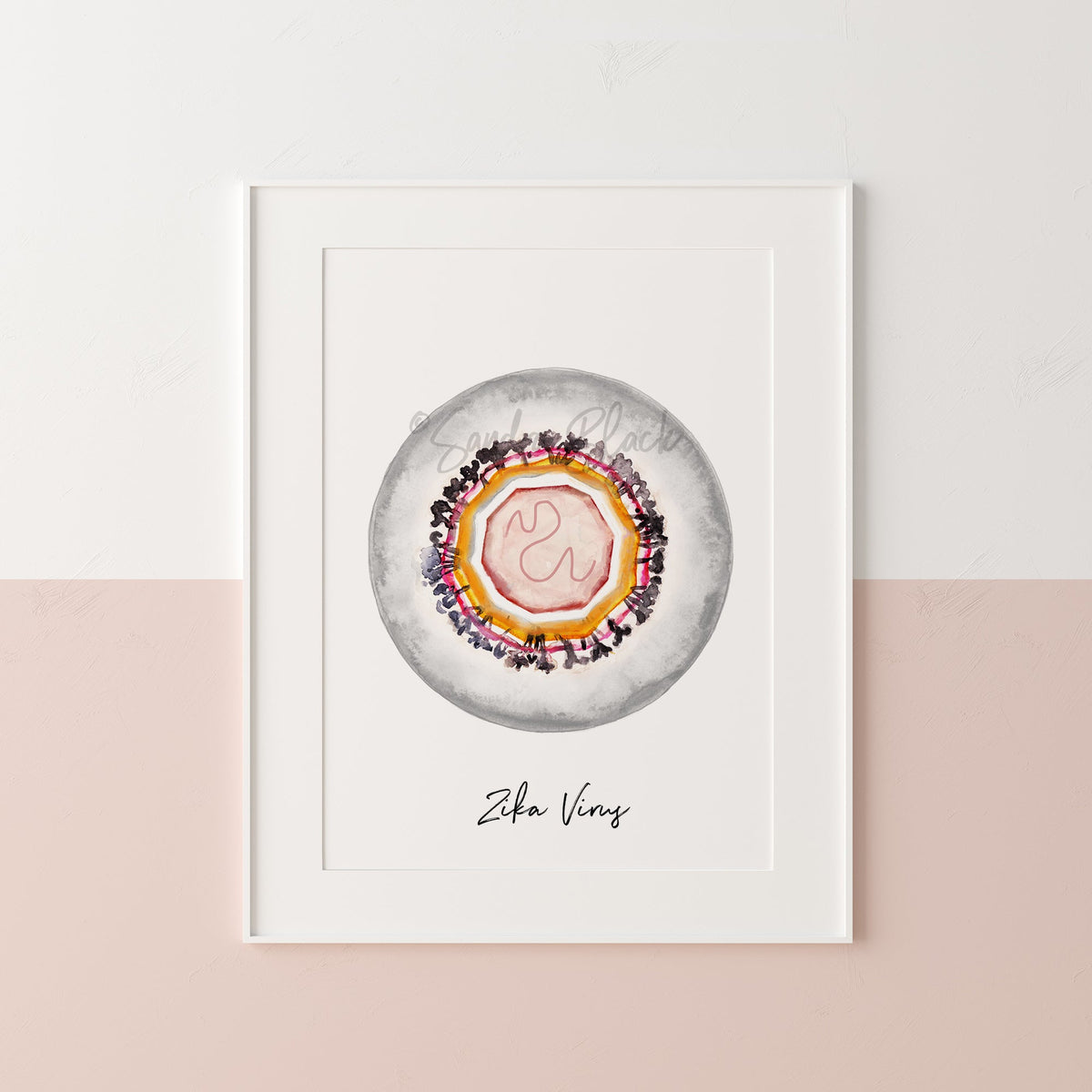 zika virus virology art print framed in white frame